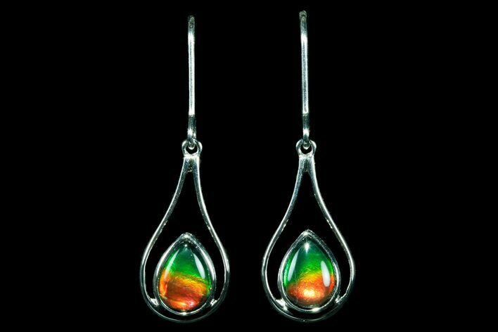 Gorgeous Ammolite Earrings with Sterling Silver #181181